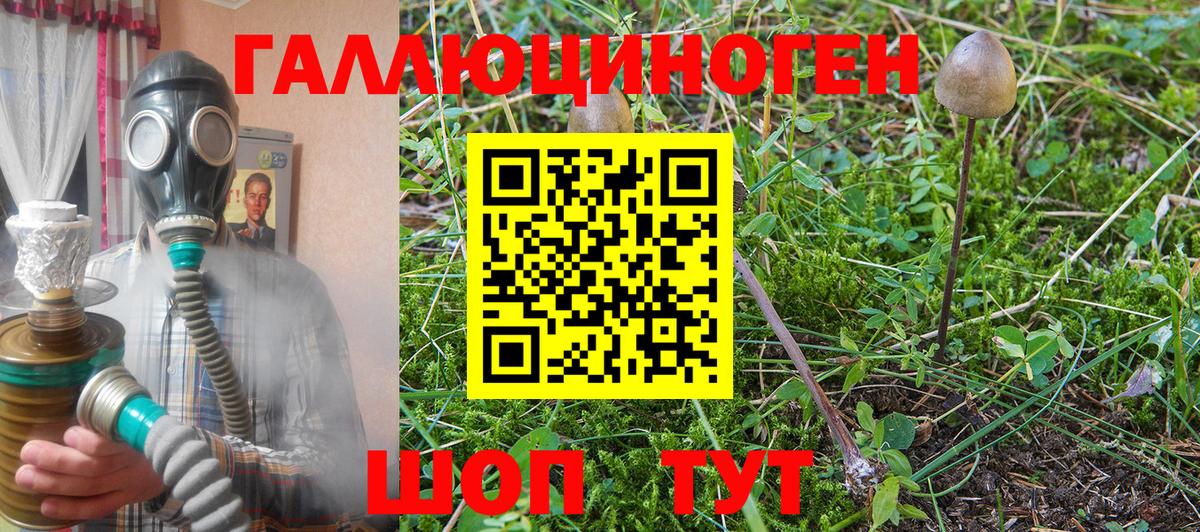 Псилоцибиновые грибы GOLDEN TEACHER  Вход с VPN  Чехов 